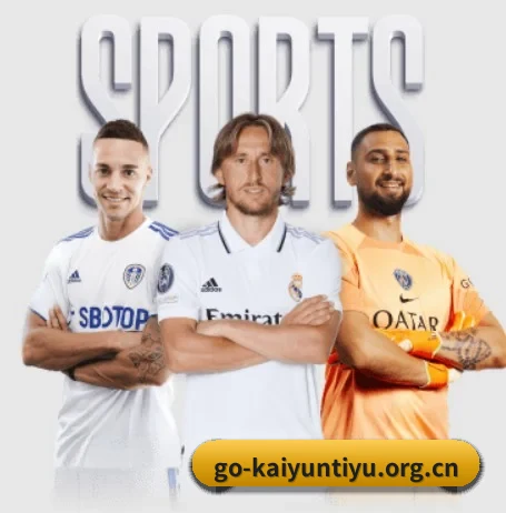 开云体育 APP 界面 | kaiyun